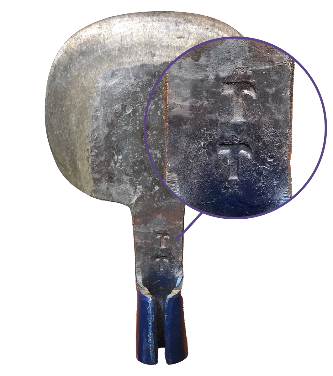 El Martillito Coa de jima - Head Only - Image 3