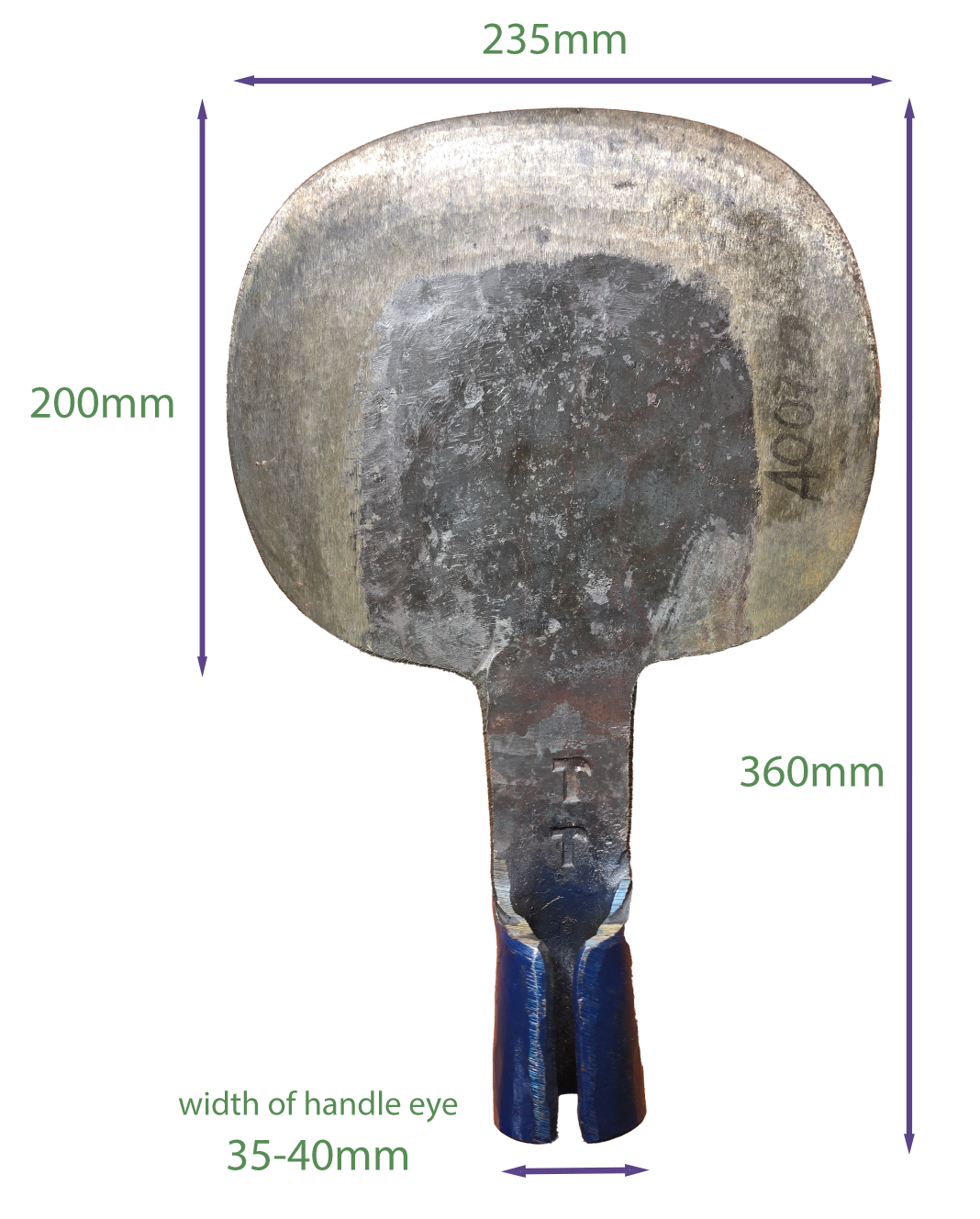 El Martillito Coa de jima - Head Only - Image 4