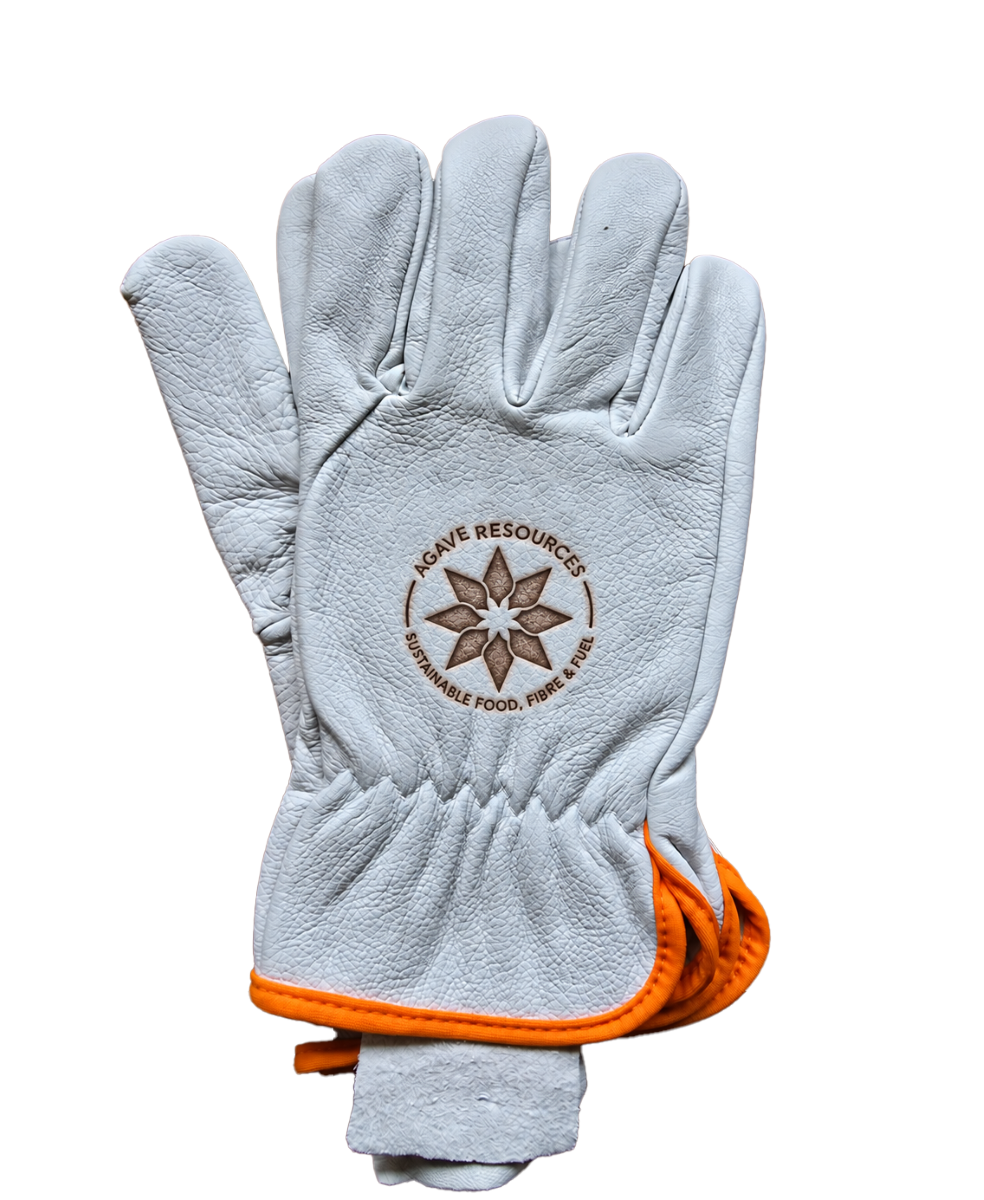 Leather Plantation Gloves